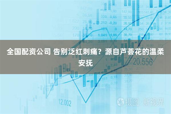 全国配资公司 告别泛红刺痛？源自芦荟花的温柔安抚