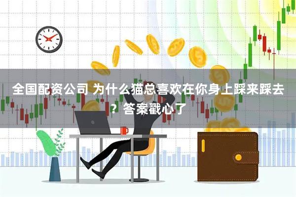 全国配资公司 为什么猫总喜欢在你身上踩来踩去？答案戳心了